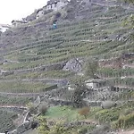 Il Vigneto & Breakfast - Valtellina Panoramic View