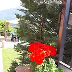 Bed & Breakfast Il Vigneto & Breakfast - Valtellina Panoramic View Castione Andevenno
