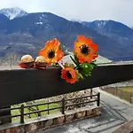 Il Vigneto & Breakfast - Valtellina Panoramic View Castione Andevenno