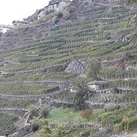 Il Vigneto & Breakfast - Valtellina Panoramic View