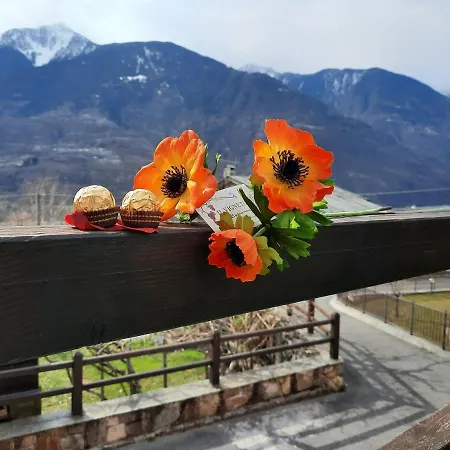 Il Vigneto & Breakfast - Valtellina Panoramic View Castione Andevenno